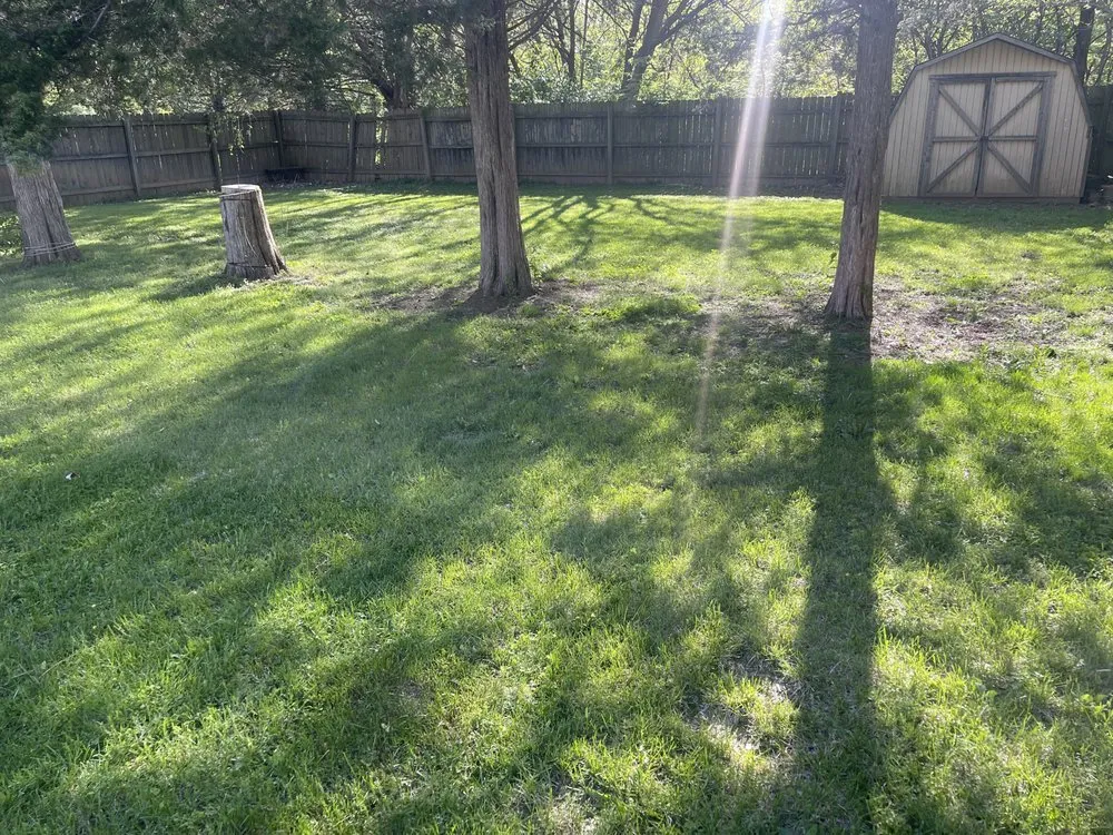 Local yard cleanup service for outdoor upgrades across Creve Coeur, IL - D.A lawncare + powerwashing