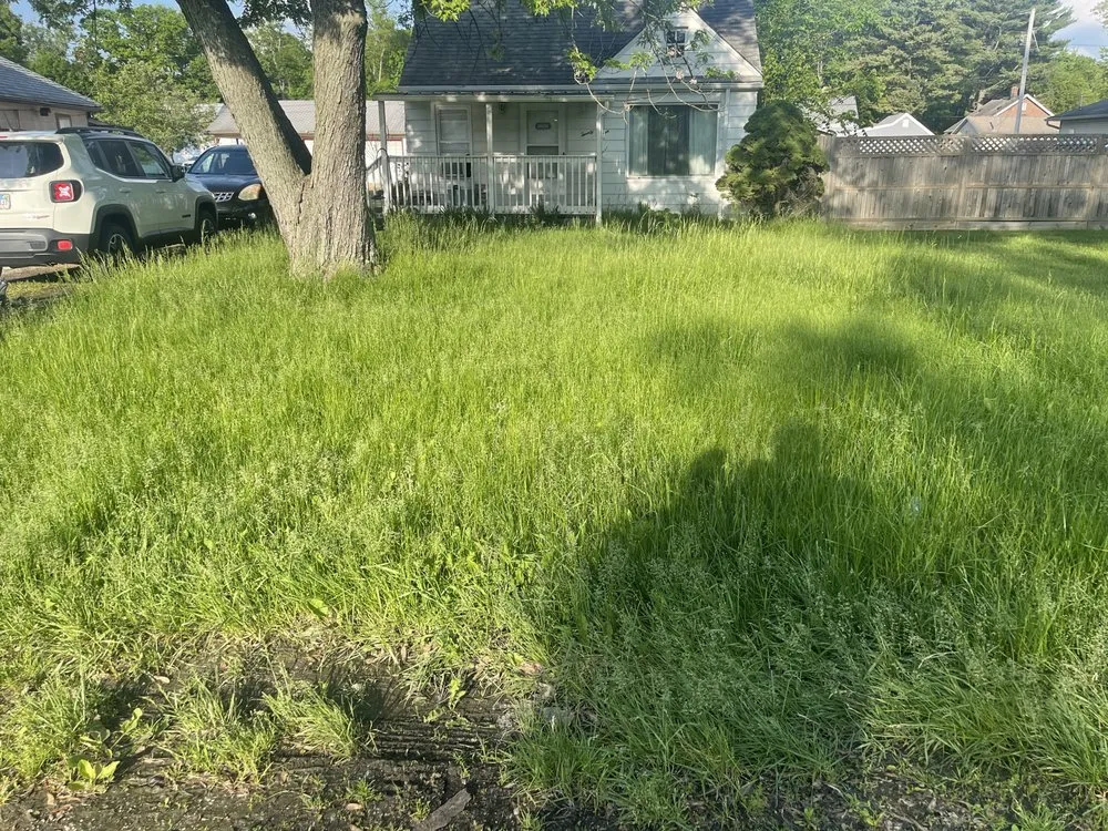 Custom yard cleanup service experts serving Creve Coeur, IL - D.A lawncare + powerwashing