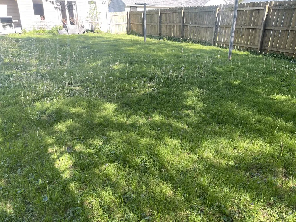 Custom landscape design in Creve Coeur, IL - D.A lawncare + powerwashing