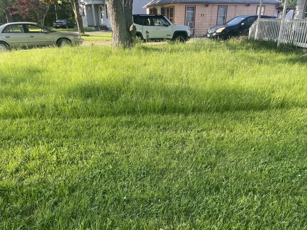 Reliable landscape design near you in Creve Coeur, IL by D.A lawncare + powerwashing