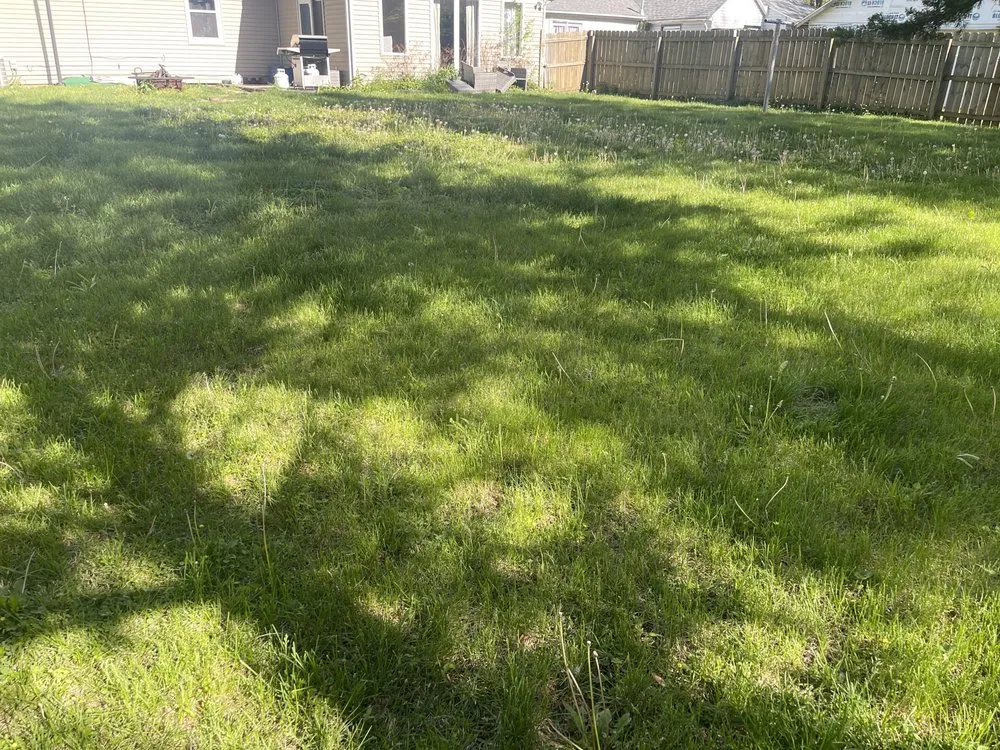 Top-rated residential landscaping for beautiful yards in Creve Coeur, IL by D.A lawncare + powerwashing