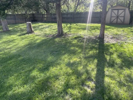 D.A lawncare + powerwashing