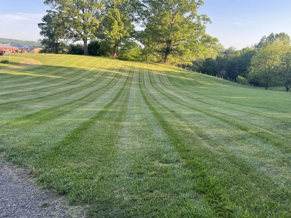 Professional yard cleanup service in Madison, VA - D&A Lawncare
