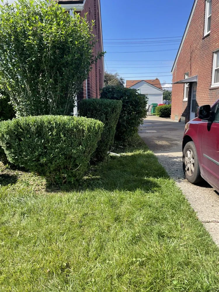 Local garden landscaping for year-round maintenance in Port Huron, MI by D&A Maintenance