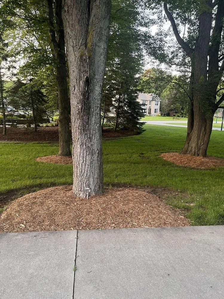 Professional residential landscaping near you in Port Huron, MI by D&A Maintenance