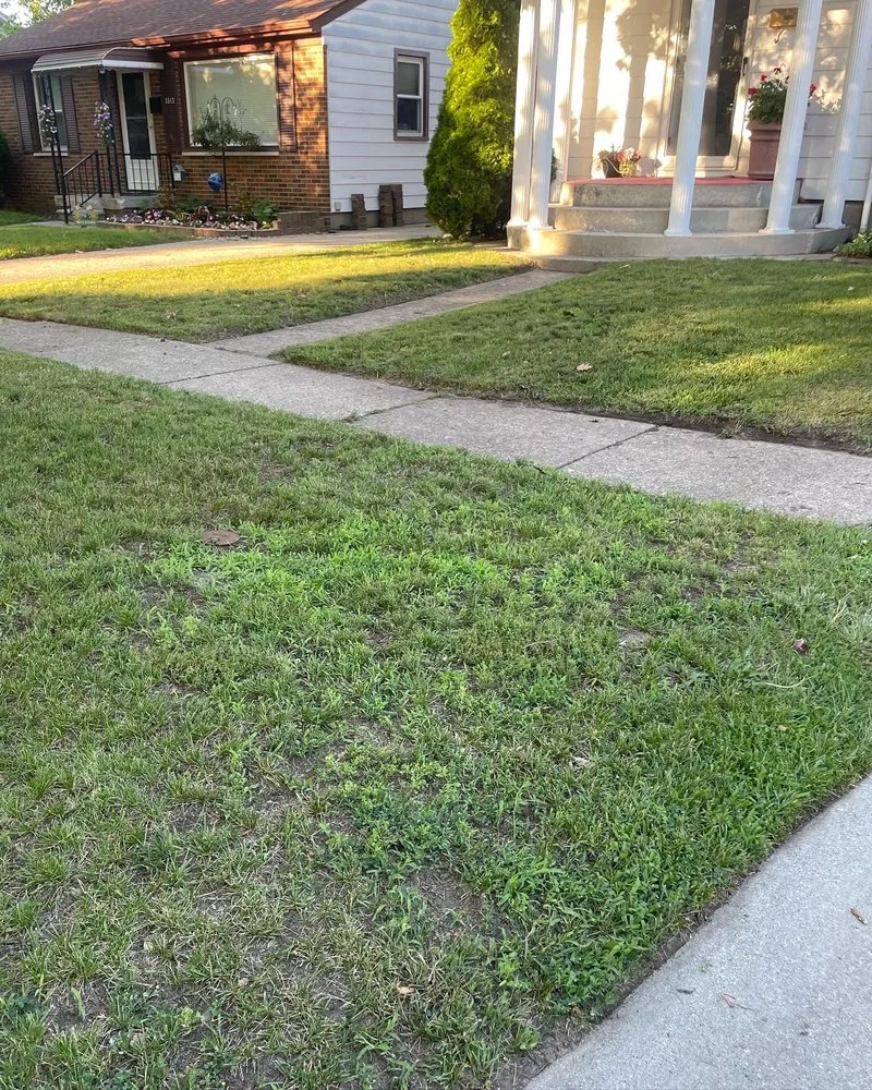 Professional residential landscaping for outdoor upgrades in Port Huron, MI by D&A Maintenance