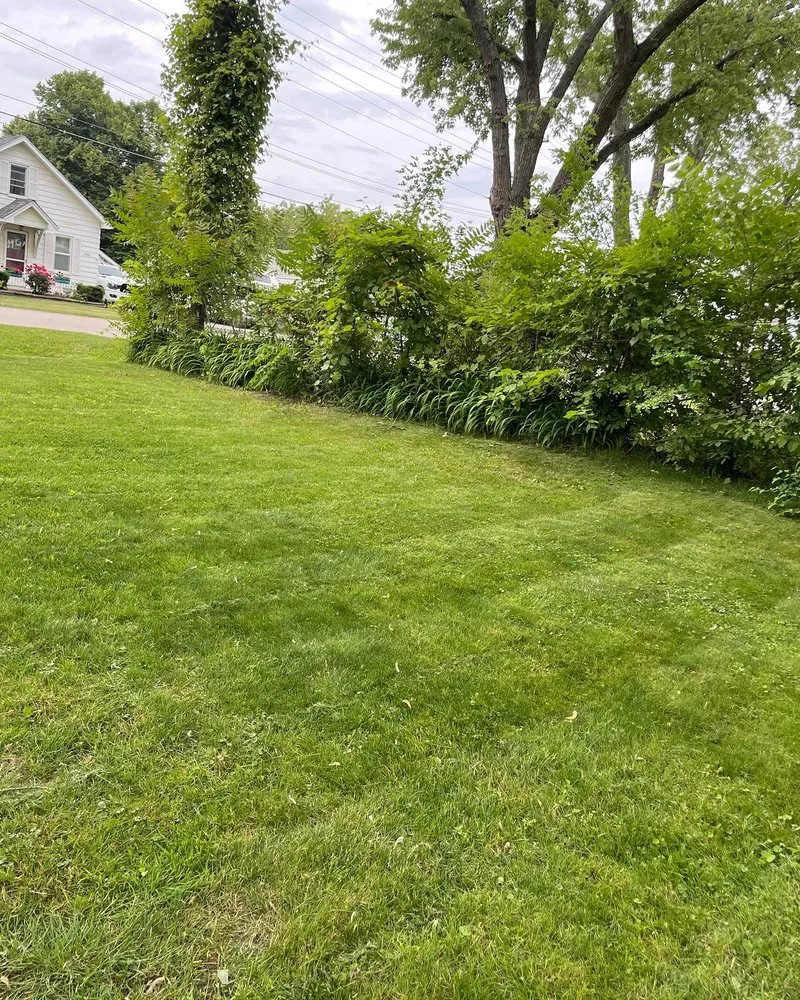 Local lawn care service in Port Huron, MI by D&A Maintenance