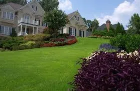 Expert lawn care service experts serving Rehoboth, MA - Da Rocha's Landscape Services