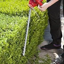 Reliable landscaping services with custom design in Rehoboth, MA by Da Rocha's Landscape Services