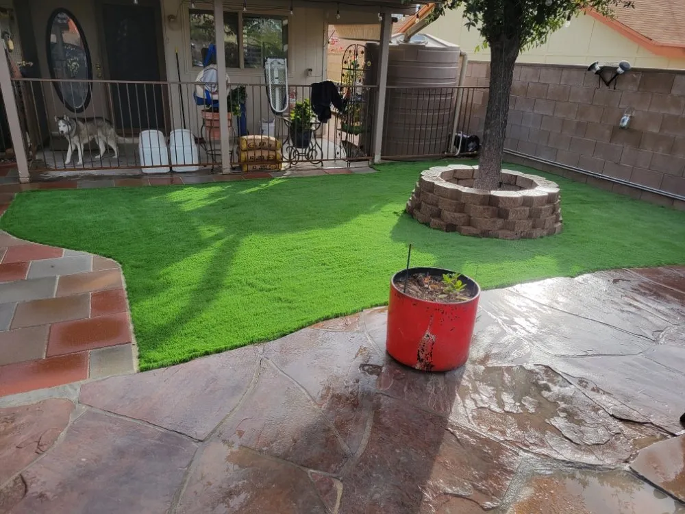 Top-rated lawn care service in Valencia West, AZ - D&A Services