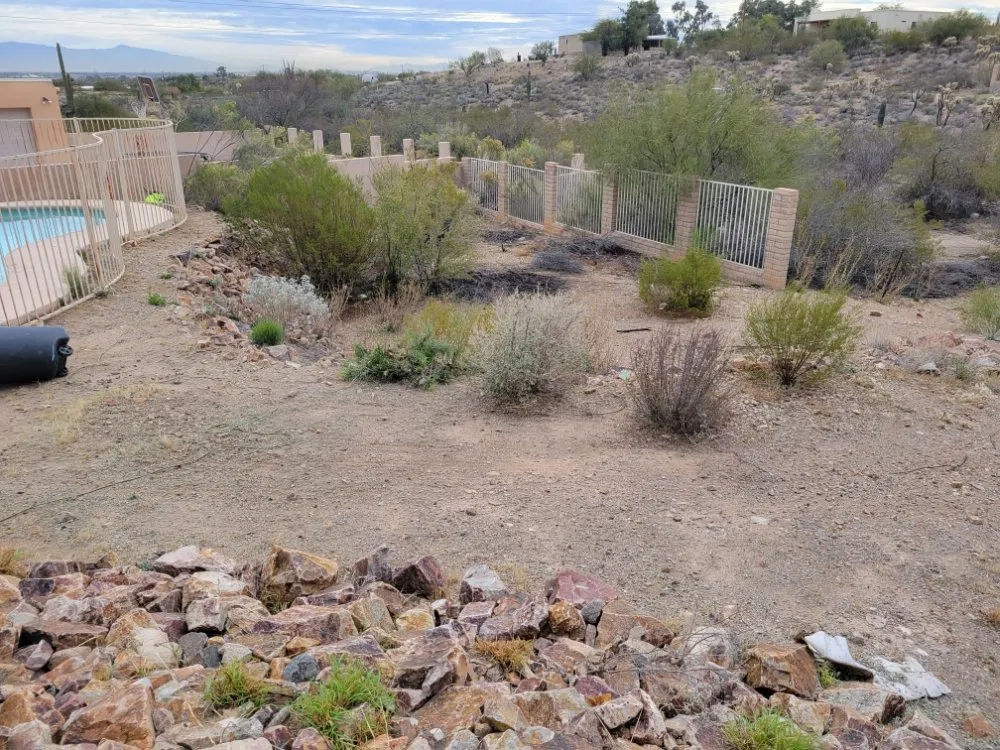 Top-rated yard cleanup service for year-round maintenance across Valencia West, AZ - D&A Services