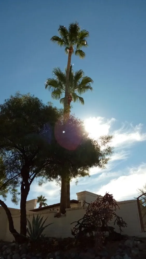 Trusted landscape installation for residential properties across Tucson, AZ - Daa Landscaping