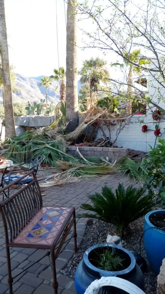 Top-rated garden landscaping for residential properties across Tucson, AZ - Daa Landscaping