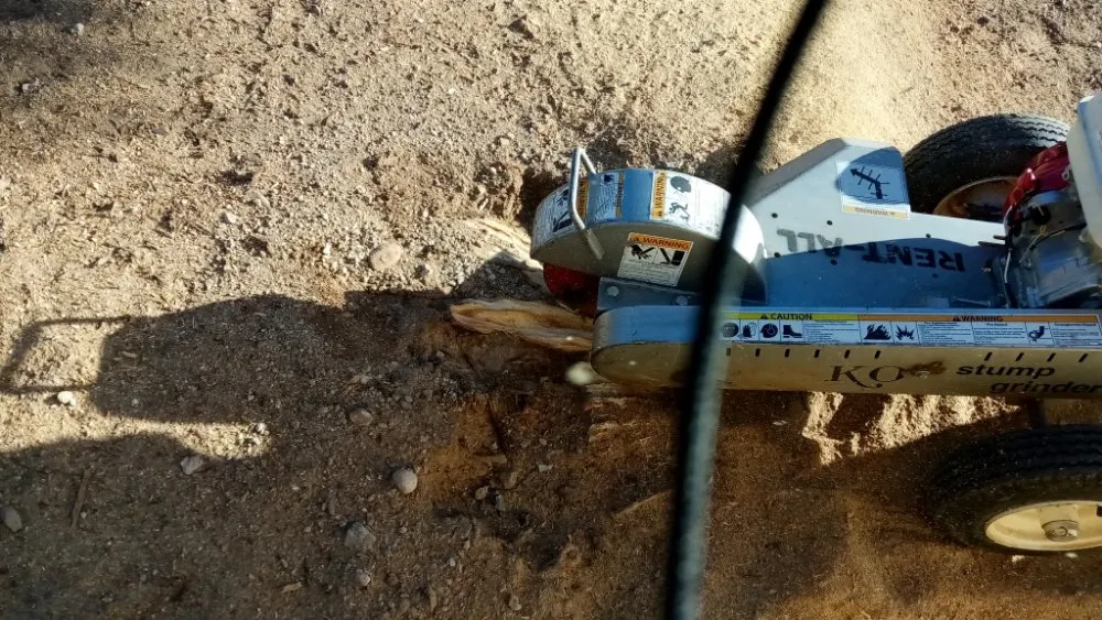 Reliable garden landscaping in Tucson, AZ - Daa Landscaping