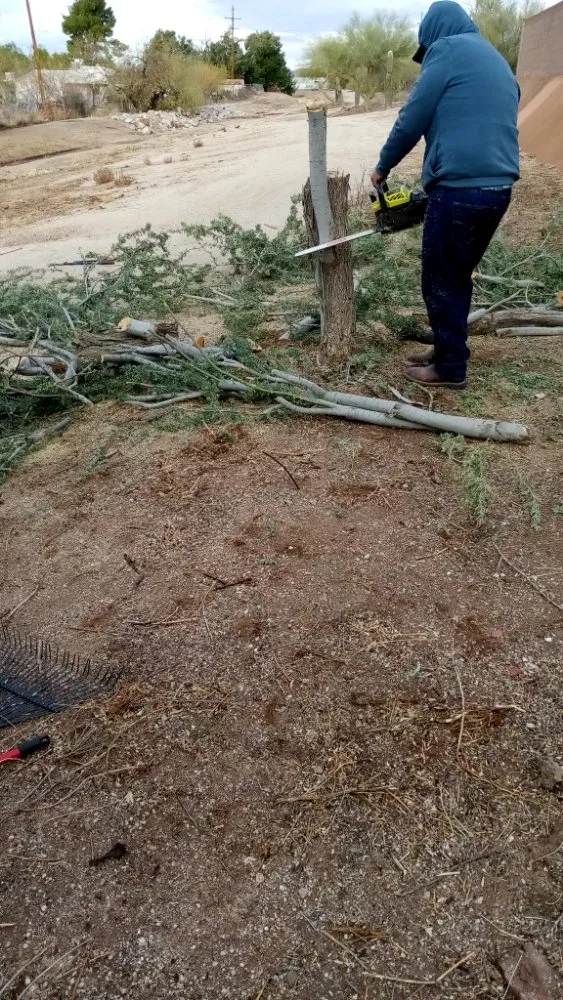 Trusted yard maintenance for beautiful yards across Tucson, AZ - Daa Landscaping