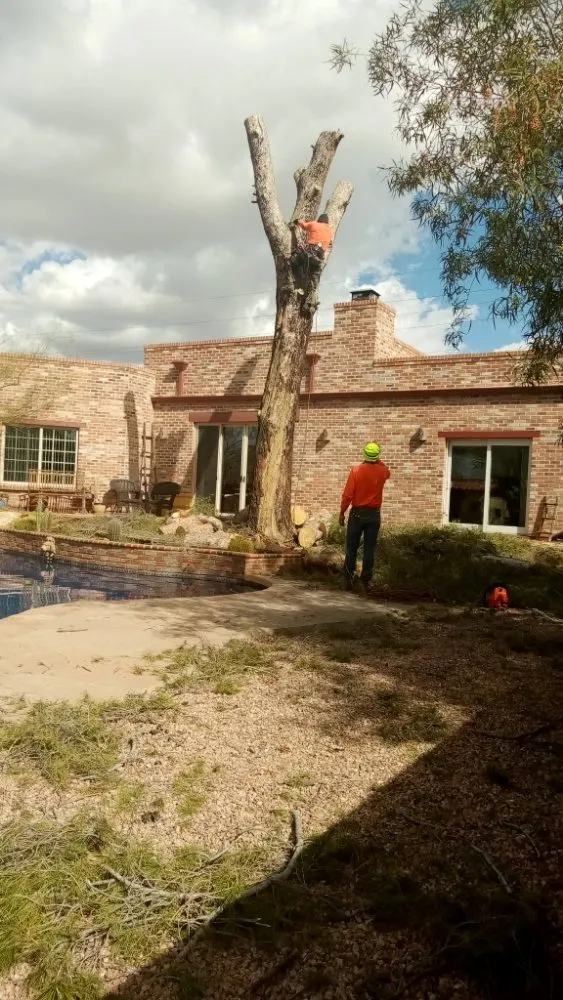 Top-rated lawn mowing service in Tucson, AZ - Daa Landscaping