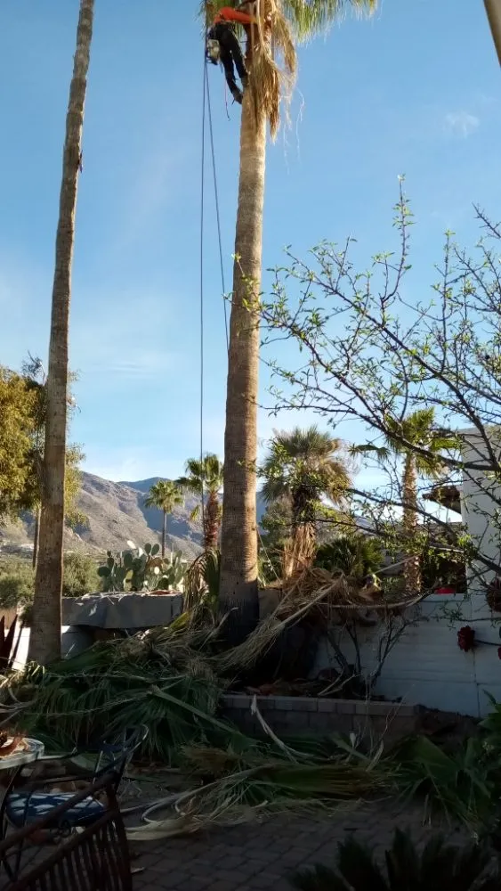 Reliable residential landscaping in Tucson, AZ - Daa Landscaping