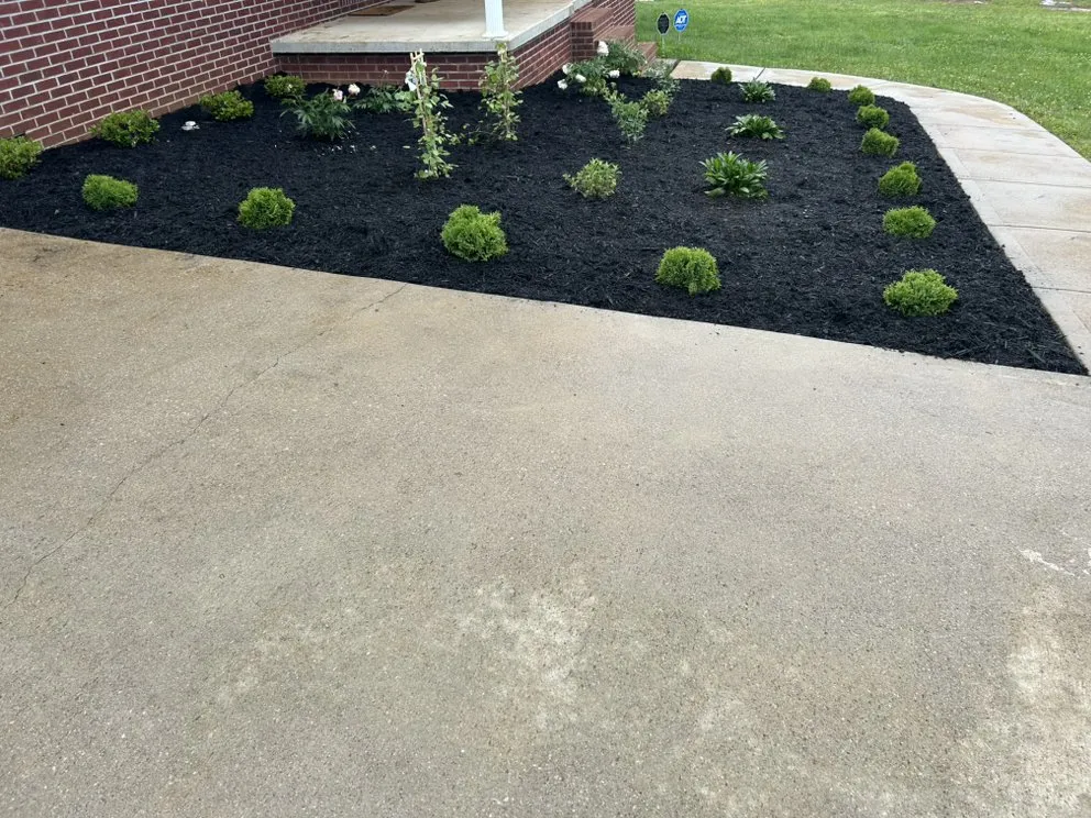 Local landscaping services for year-round maintenance across Bronston, KY - Daada Hauling