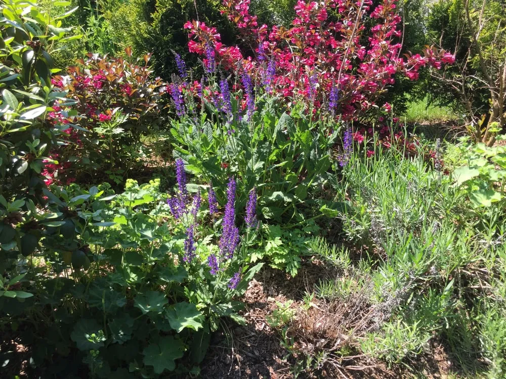 Top-rated landscape installation in Randolph, NJ by Dabah Landscape Designs