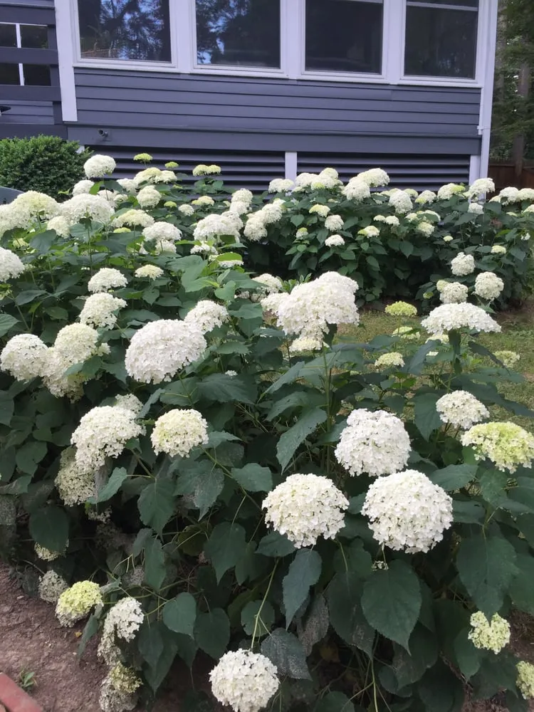 Local landscape installation experts serving Randolph, NJ - Dabah Landscape Designs