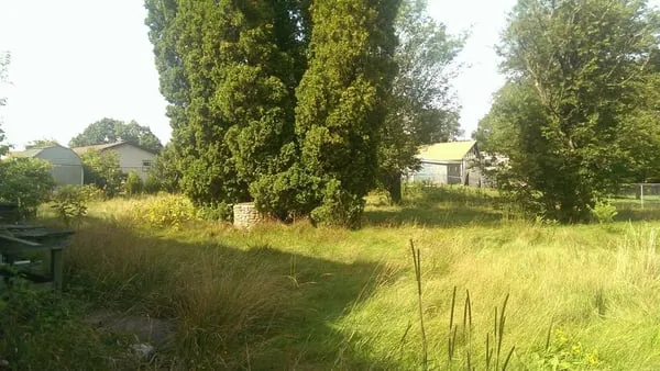 Dacosta's Landscape Design Logo