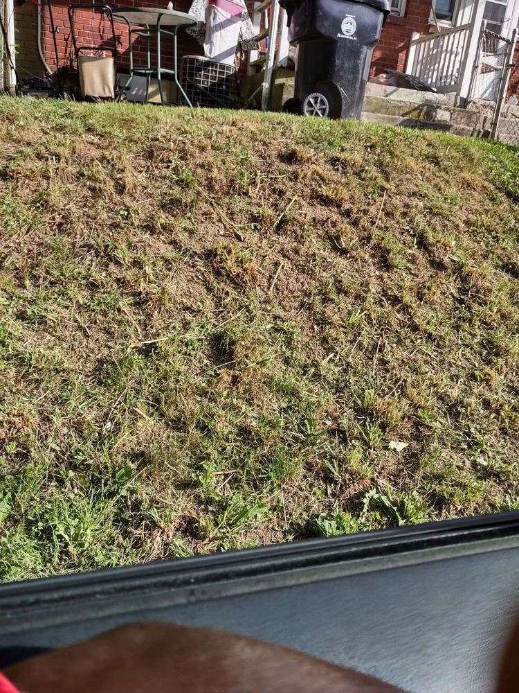 Affordable landscaping services in Linglestown, PA - Dad & Me Lawn Service