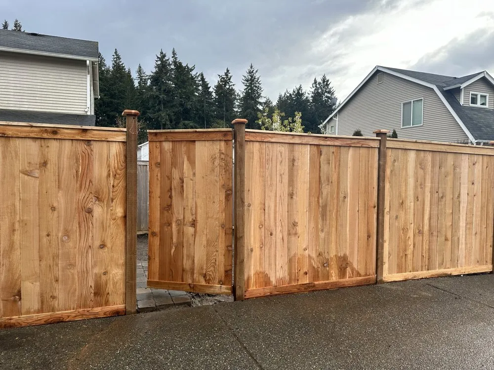 Reliable yard maintenance in Olympia, WA - Dad & Son Lawn care