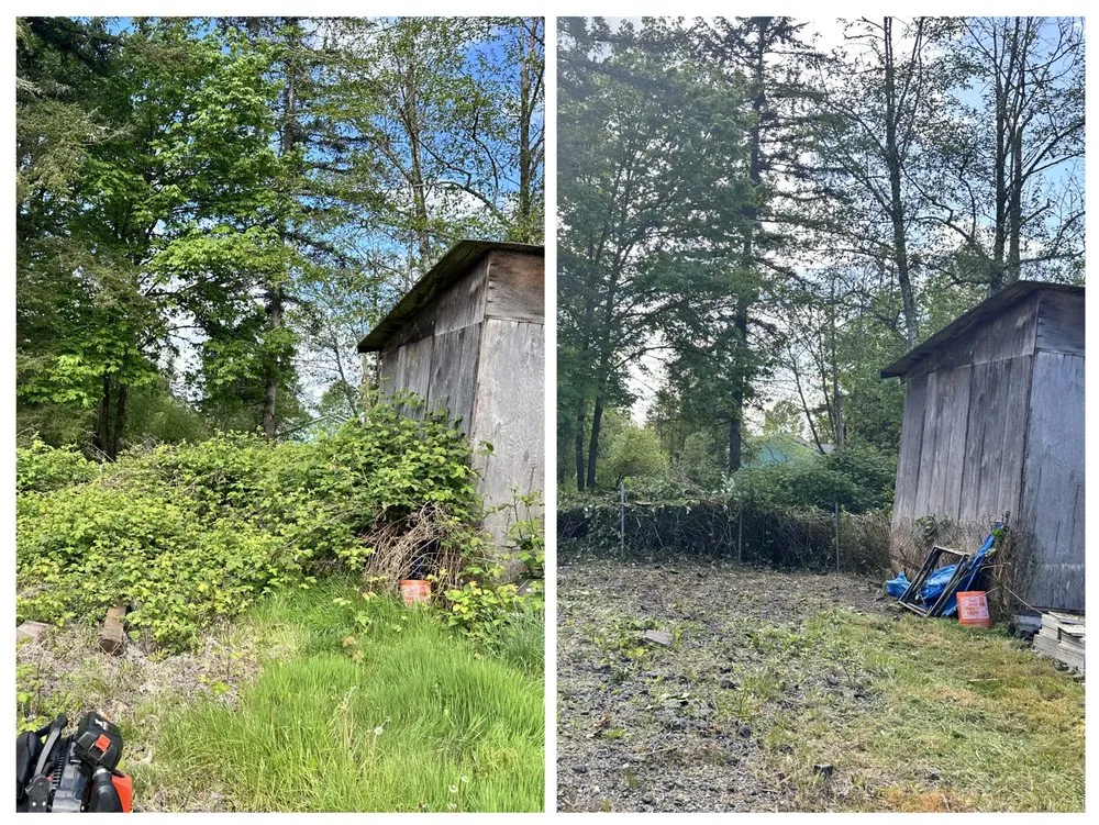 Affordable yard maintenance experts serving Olympia, WA - Dad & Son Lawn care