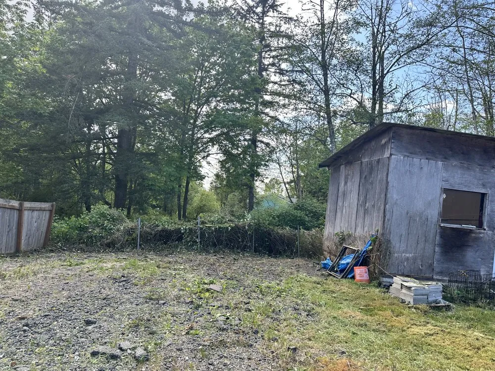 Top-rated yard cleanup service for residential properties in Olympia, WA by Dad & Son Lawn care