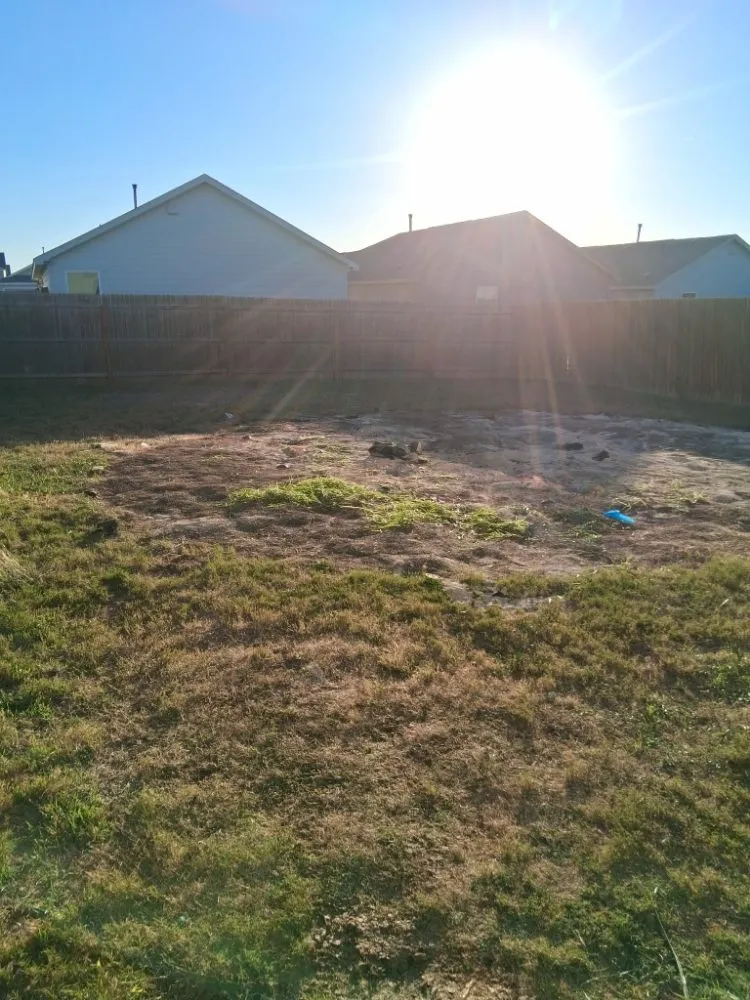 Local garden landscaping experts serving San Antonio, TX - Dad And Son Junk Removal