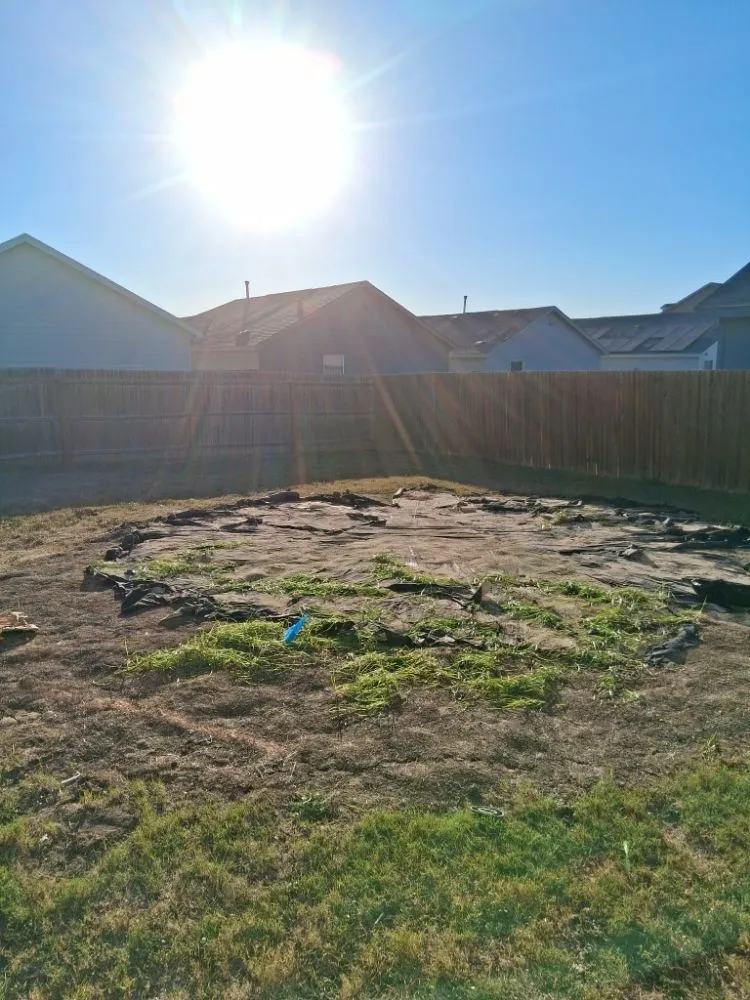 Professional landscaping services with custom design across San Antonio, TX - Dad And Son Junk Removal