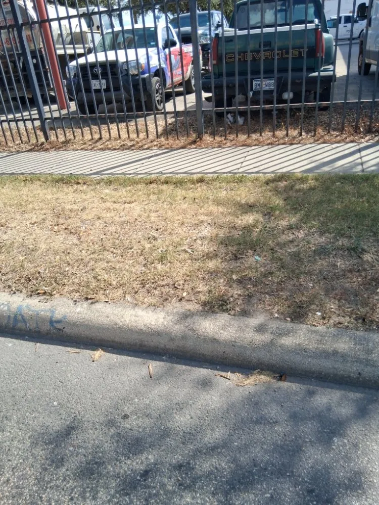 Custom yard maintenance in San Antonio, TX by Dad and Son Lawn Service