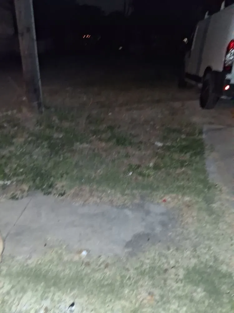 Top-rated outdoor landscaping experts serving San Antonio, TX - Dad and Son Lawn Service