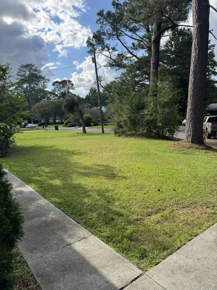 Professional landscape installation in Savannah, GA by Dad Division Lawn & Order