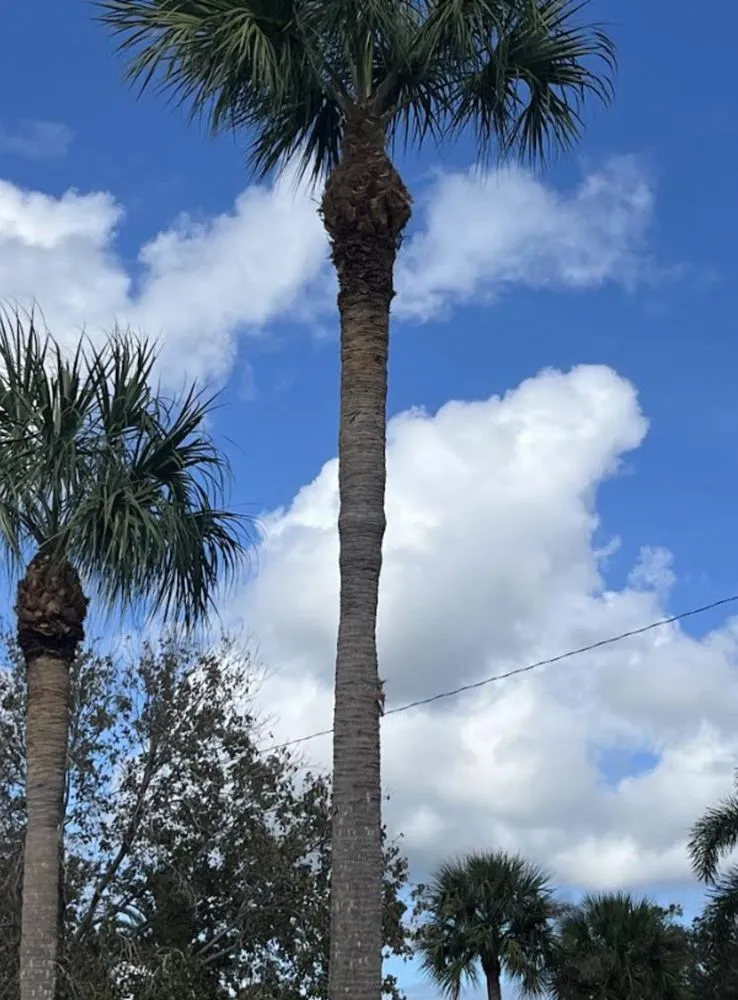 Expert landscaping services experts serving Lake Park, FL - Dad Legacy Lawn Services