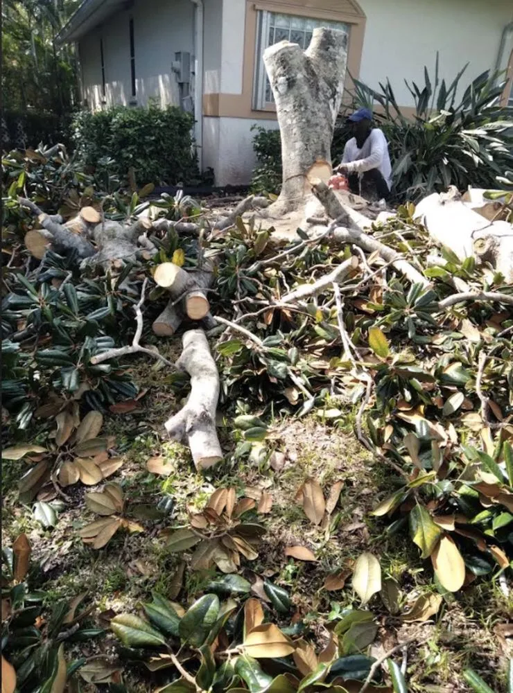 Trusted lawn care service in Lake Park, FL - Dad Legacy Lawn Services