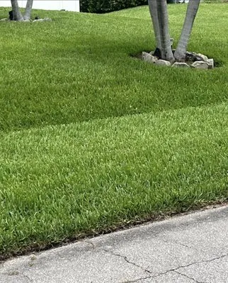 Dad Legacy Lawn Services