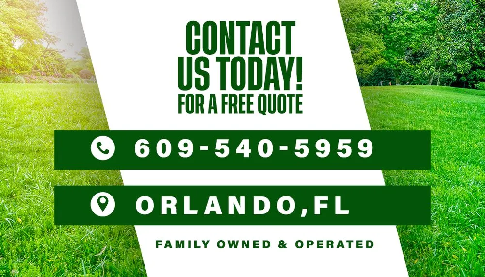 Professional yard maintenance experts serving Orlando, FL - Dad Services