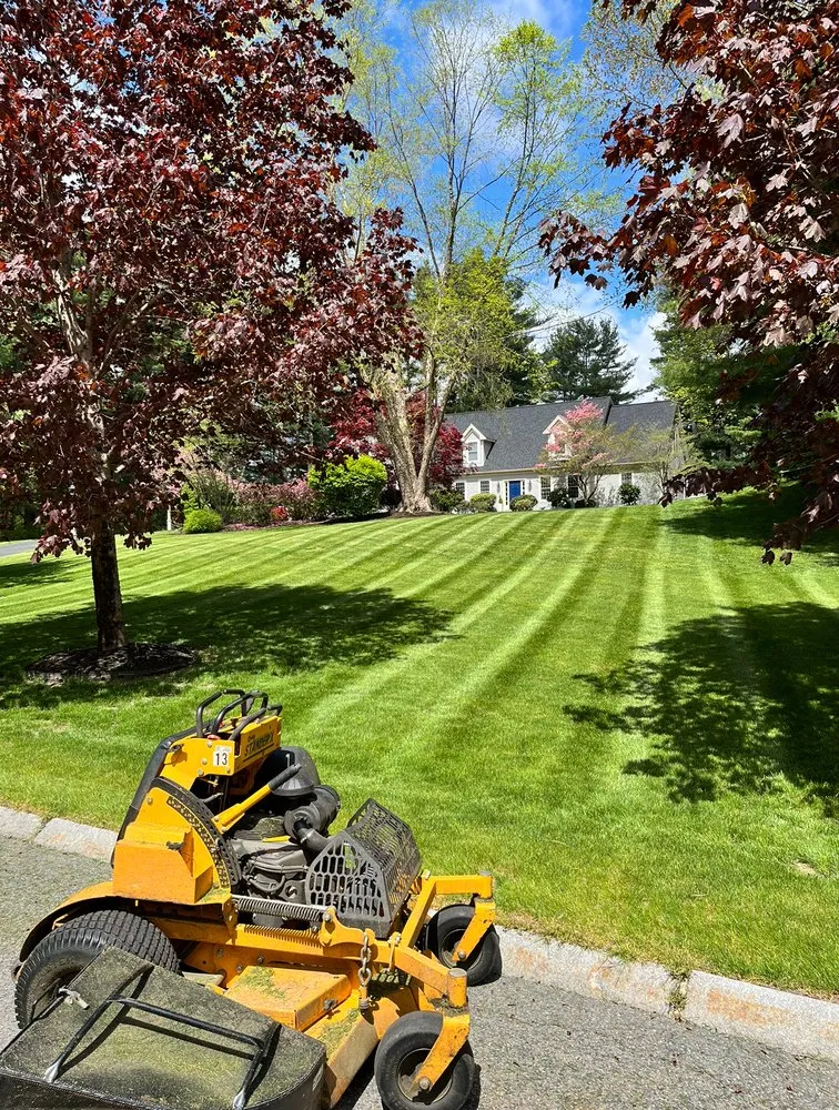 Custom yard cleanup service for year-round maintenance across Medfield, MA - Dad Vs Lawn