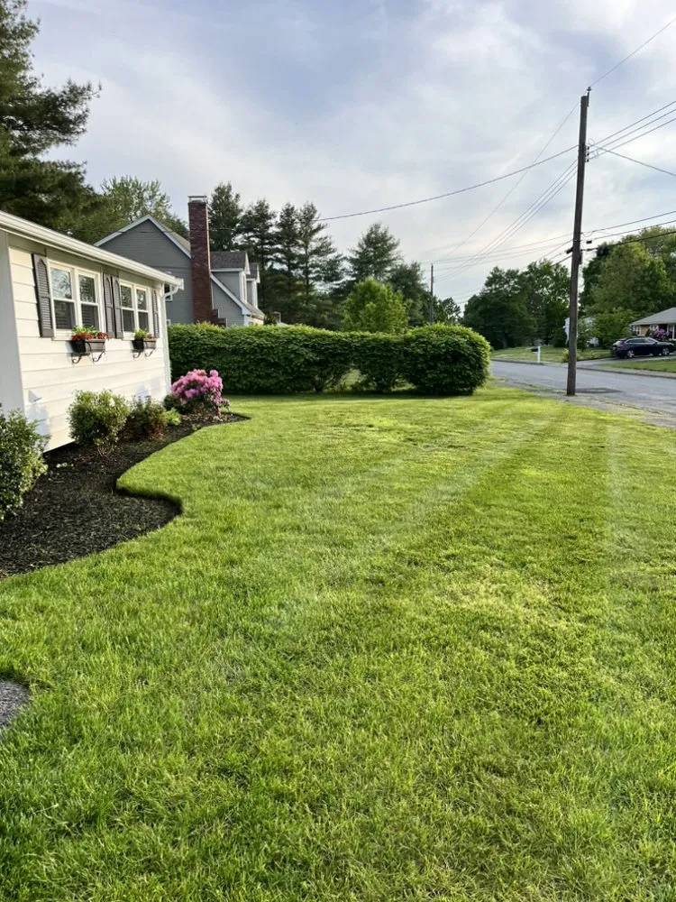 Professional lawn care service in Medfield, MA by Dad Vs Lawn