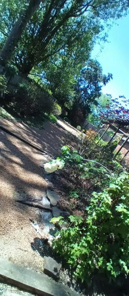 Local landscape installation in Bartlett, TN - daddy daughter lawn services