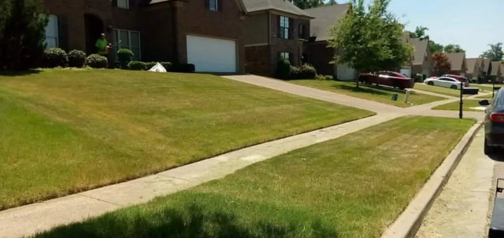 Affordable yard maintenance in Bartlett, TN by daddy daughter lawn services