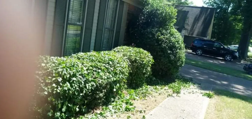 Affordable lawn care service in Bartlett, TN - daddy daughter lawn services