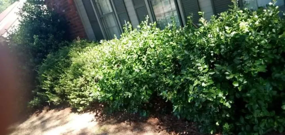 Custom outdoor landscaping in Bartlett, TN by daddy daughter lawn services