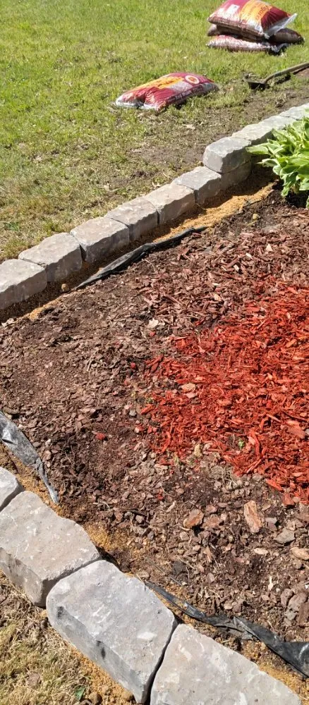 Expert yard cleanup service in Bartlett, TN - daddy daughter lawn services