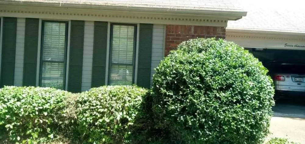 Trusted garden landscaping for year-round maintenance across Bartlett, TN - daddy daughter lawn services