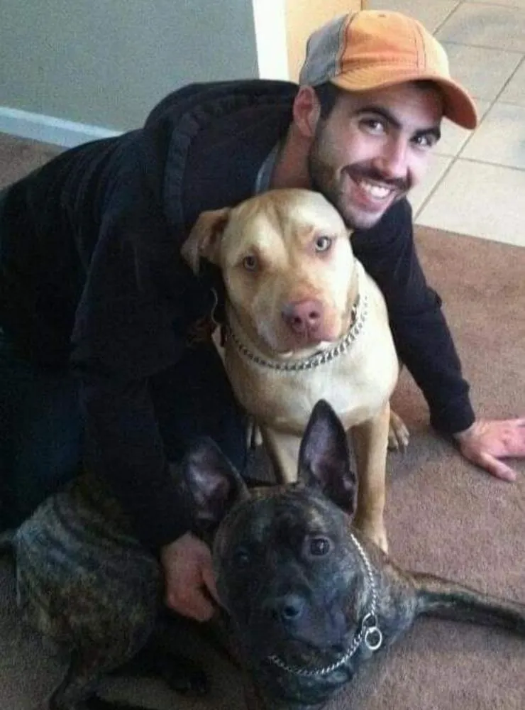 Reliable yard cleanup service for homes across Cass City, MI - Daddy Do