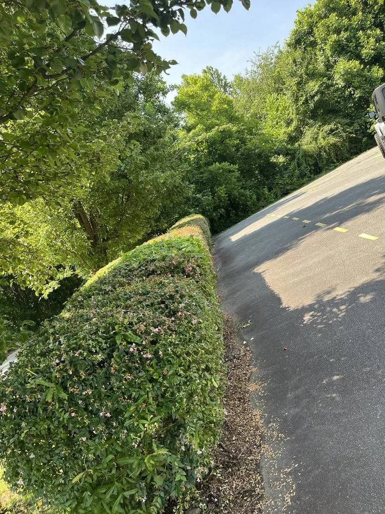 Professional lawn mowing service for beautiful yards in Kernersville, NC by Daddy Duties Lawn Service