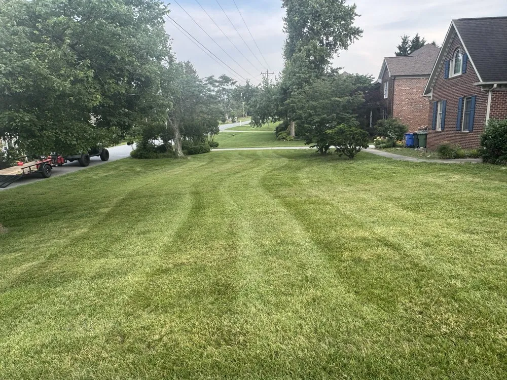 Local landscape installation in Kernersville, NC by Daddy Duties Lawn Service