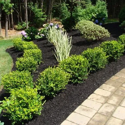 Expert lawn care service with custom design across Holly Springs, NC - Daddy Mow Mow